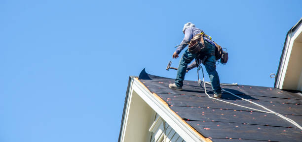 Professional Roofing Contractor in Rogers, AR